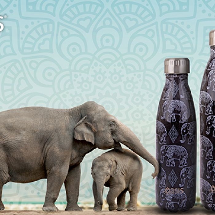 Oasis Stainless Steel Double Wall Insulated Drink Bottle 500ml - Boho Elephants-4