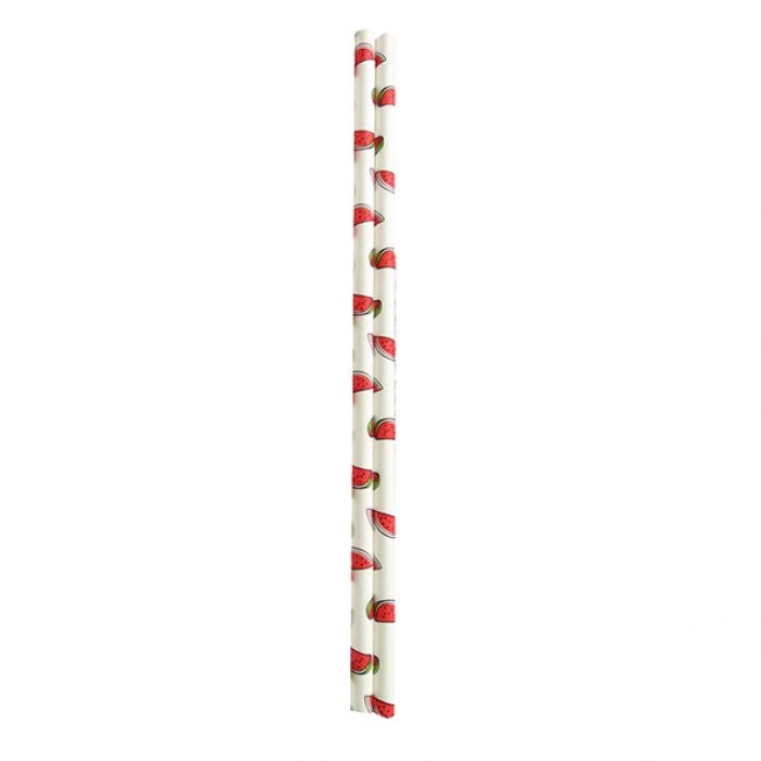 Appetito Paper Straws Pack 50 - Watermelon-2
