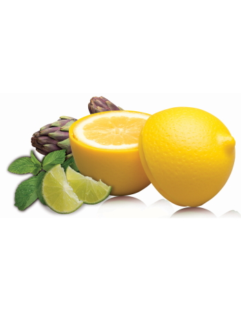 Avanti Lemon Saver