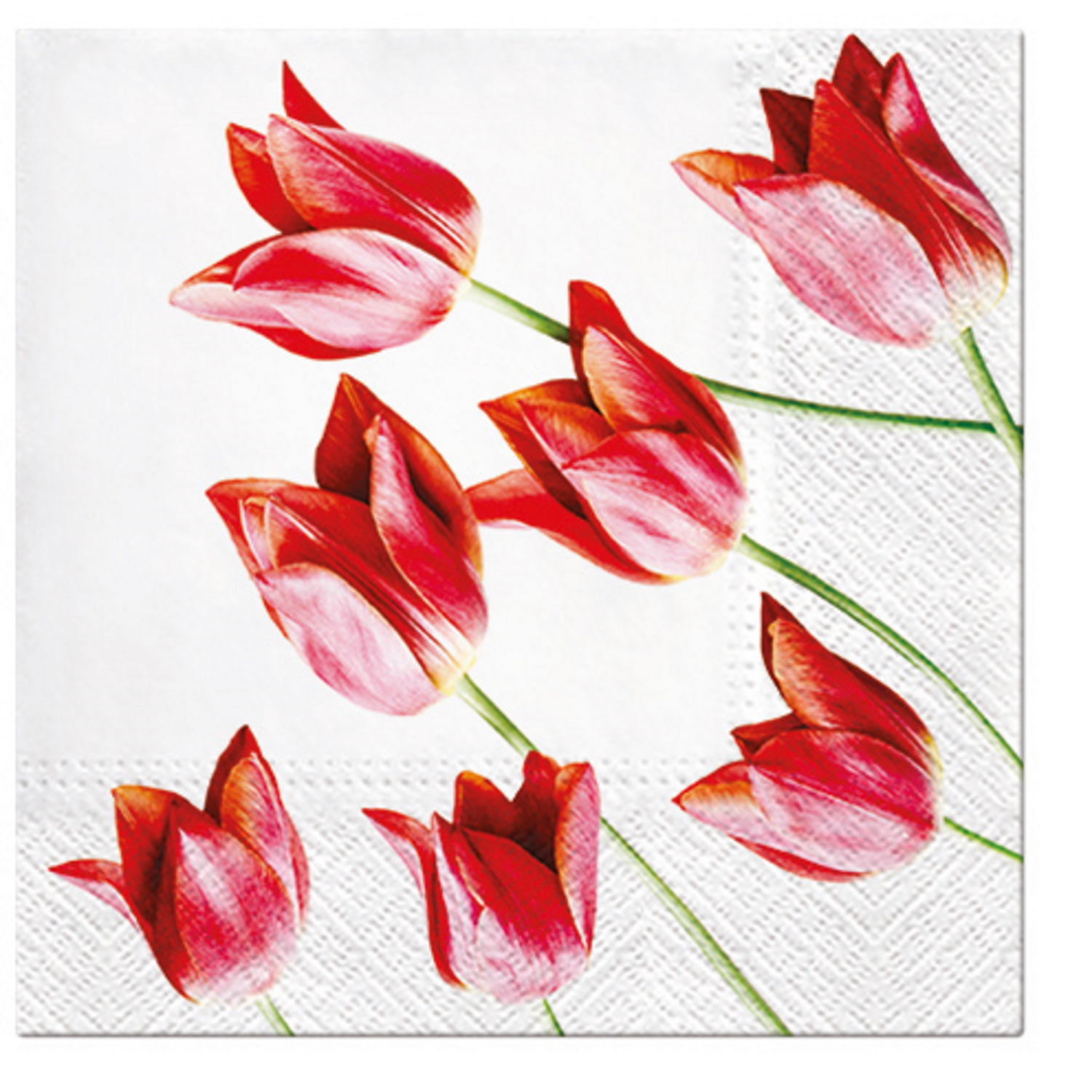 Paw Lunch Napkins 33cm RED TULIPS -2