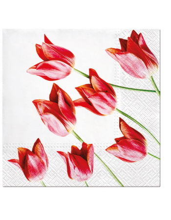 Paw Lunch Napkins 33cm RED TULIPS 