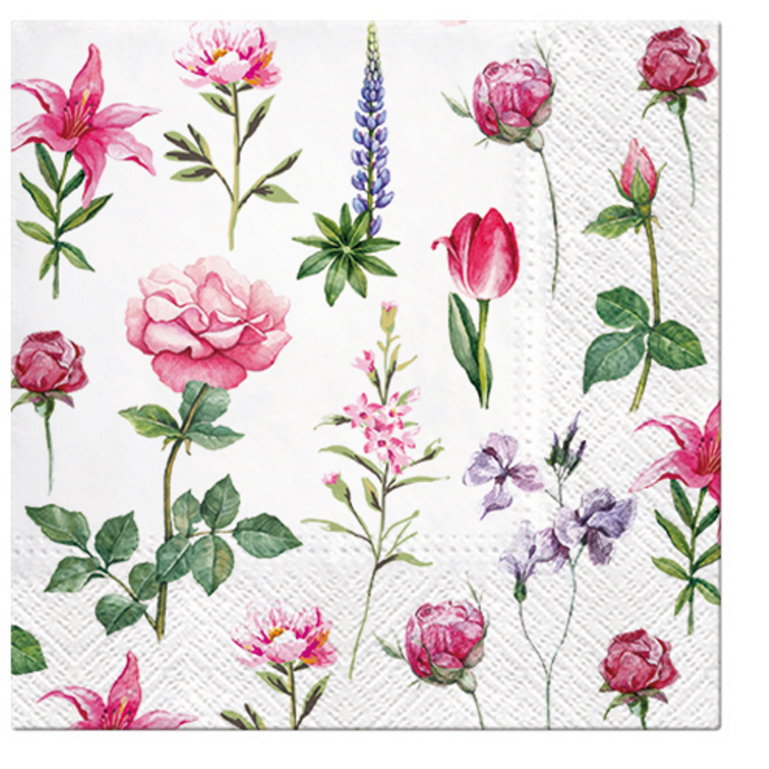 Paw Lunch Napkins 33cm BOONS OF GARDEN-4