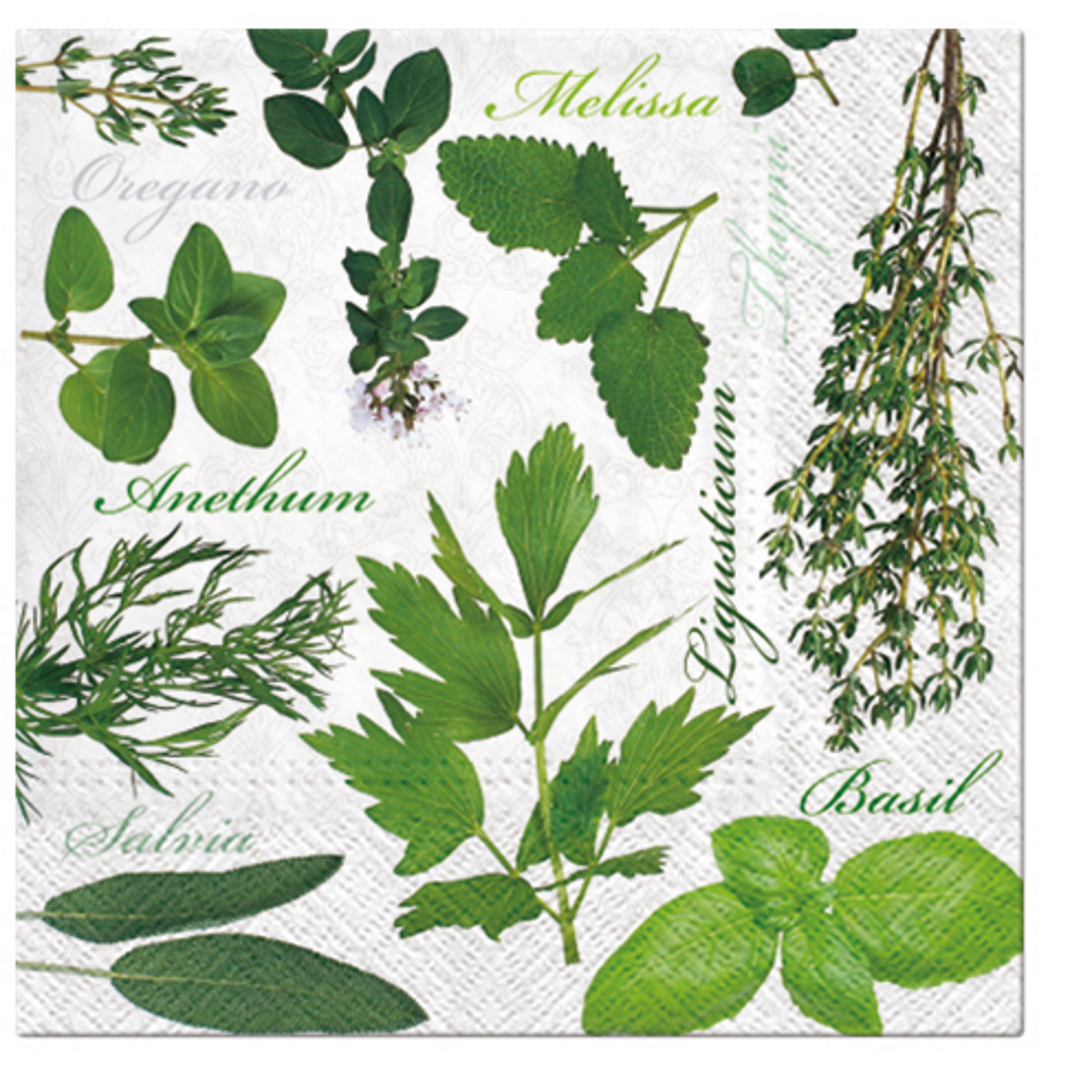 Paw Lunch Napkins 33cm HERBAL TASTE-1