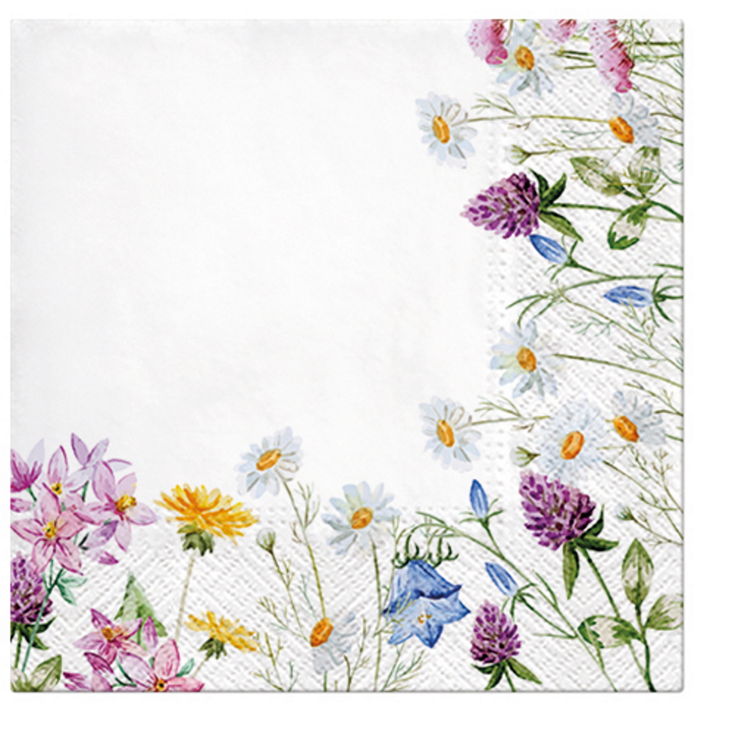 Paw Lunch Napkins 33cm SPRING FRAME