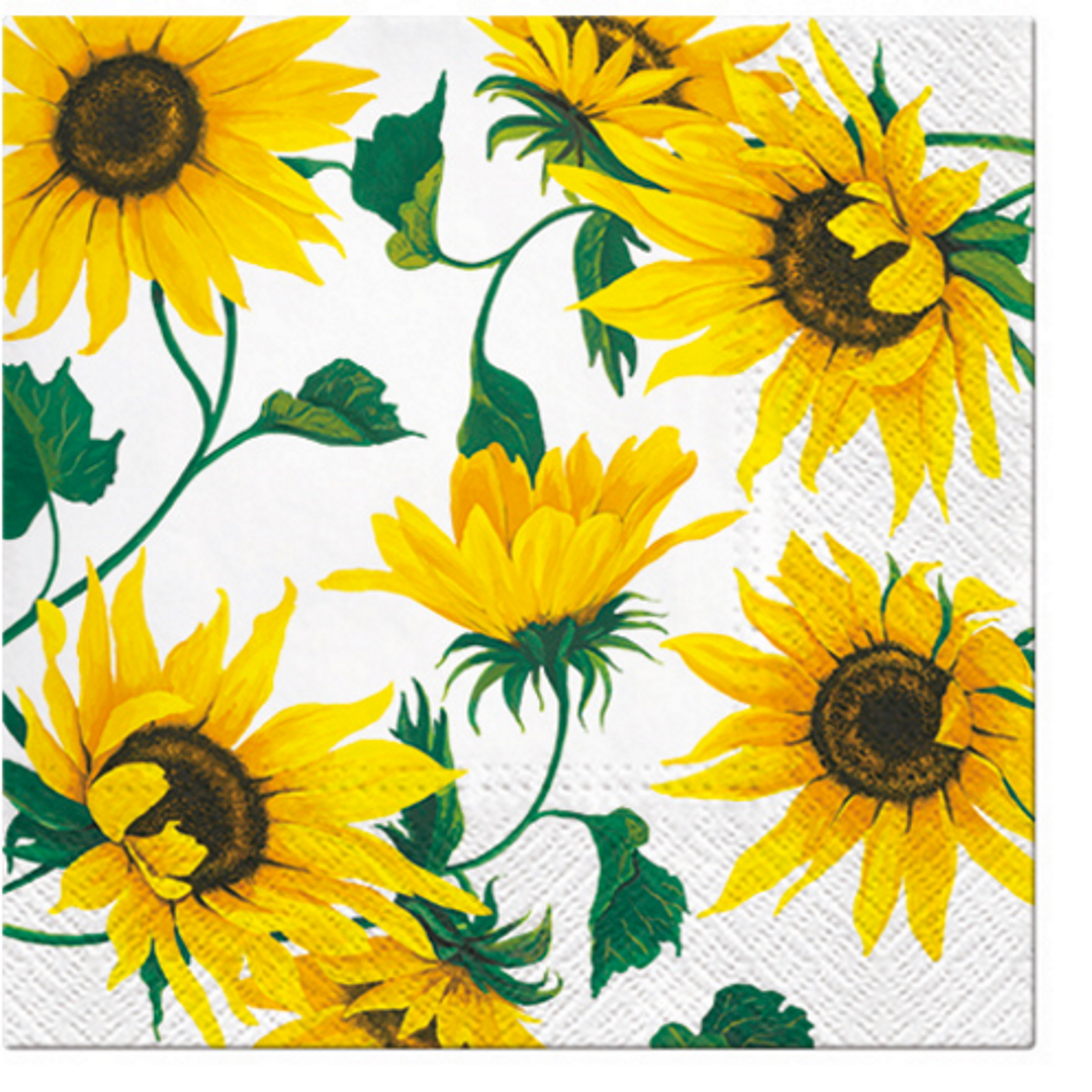 Paw Lunch Napkins 33cm LAST SCENT SUMMER - Pack of 20-1
