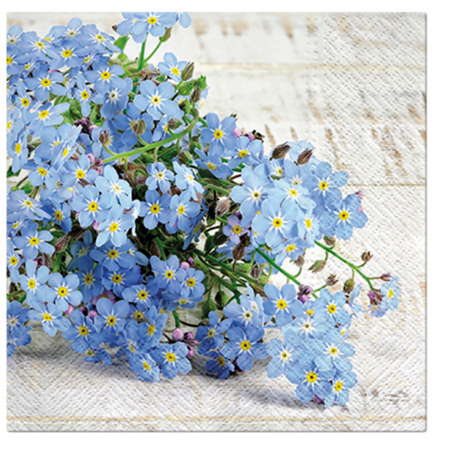 Paw Lunch Napkins 33cm FORGET ME NOT - Pack of 20-1