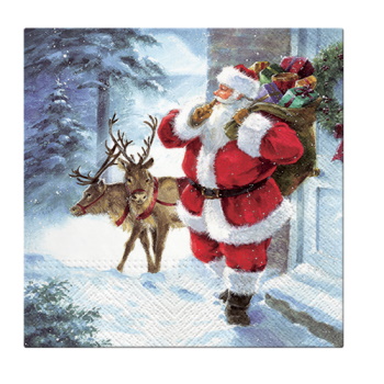 Paw Lunch Napkins 33cm SANTA IS COMING