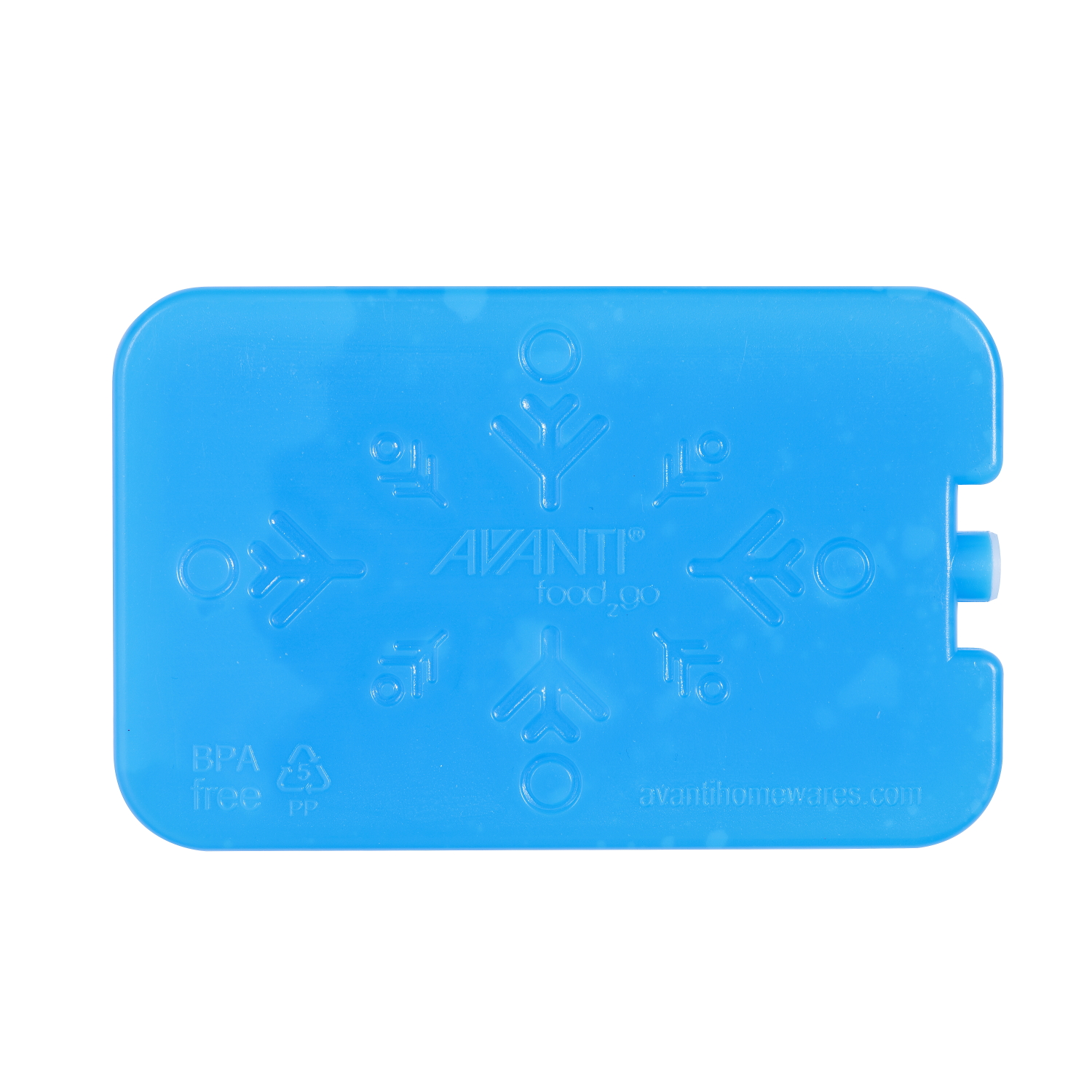 Avanti Gel Ice Brick Set of 2-3