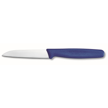 Victorinox Straight Blade Paring Knife 8cm Blue