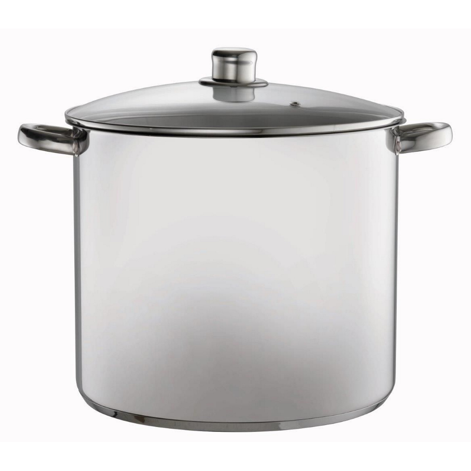 Davis & Waddell Stock Pot With Glass Lid Stainless Steel 30x25x39cm/16l-1