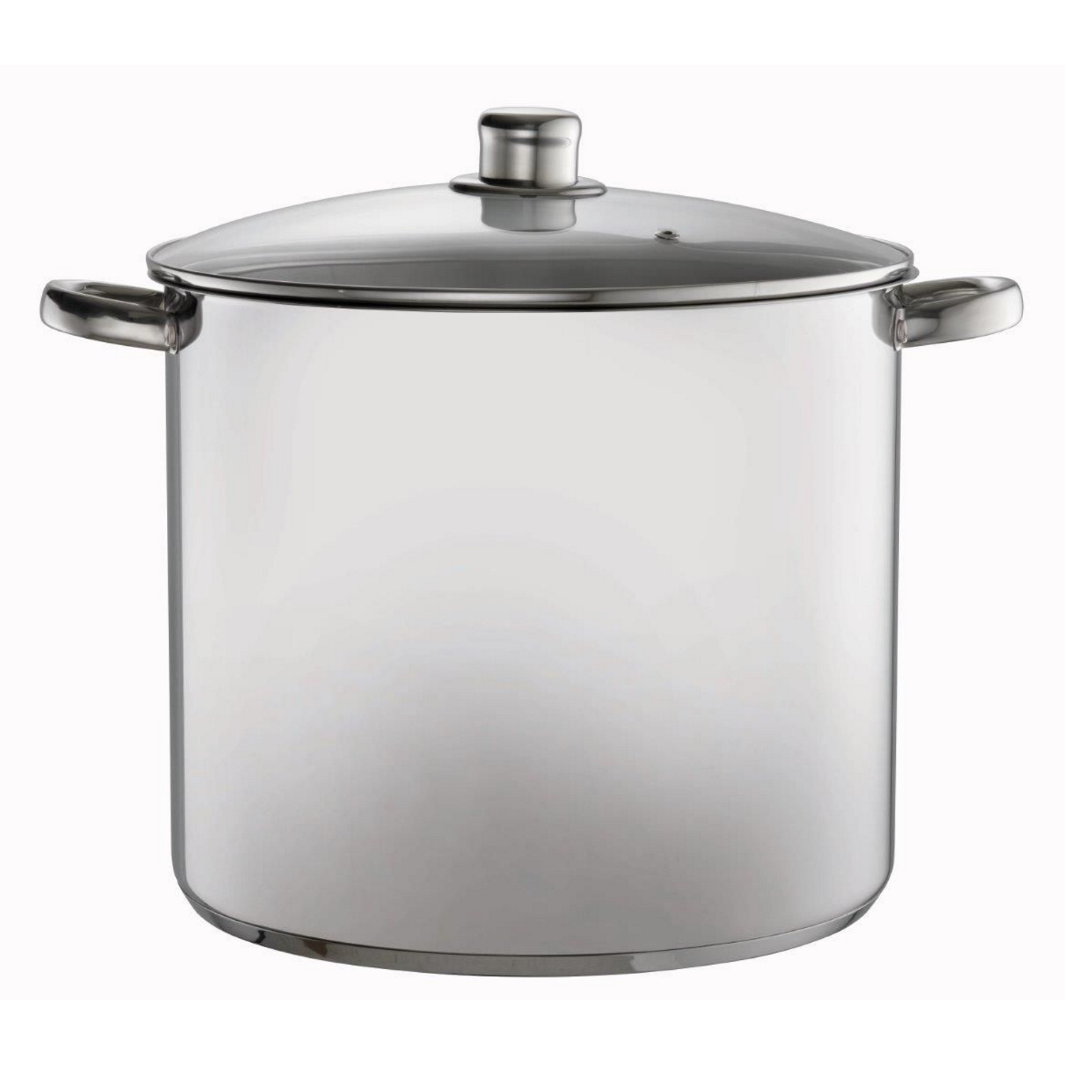 Davis & Waddell Stock Pot With Glass Lid Stainless Steel 30x25x39cm/16l