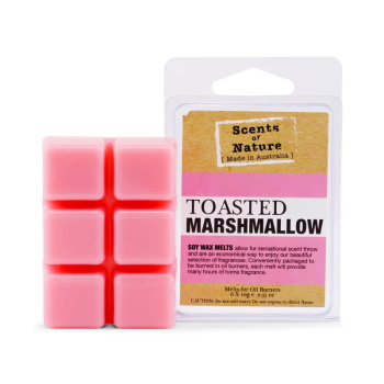Tilley Toasted Marshmallow Square Soy Wax Melts 60g
