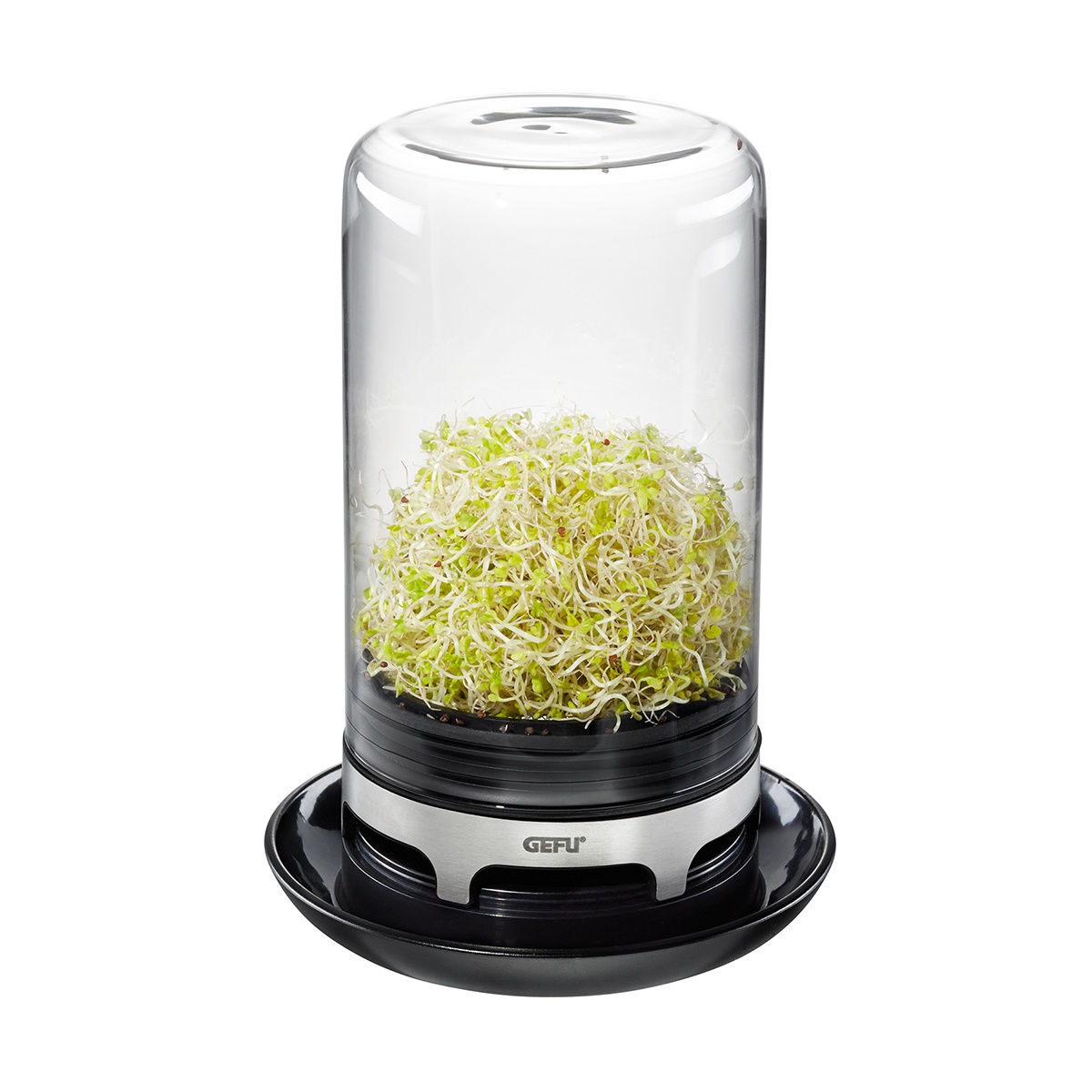 Gefu Bivita Sprouting Jar 12.8x18.4