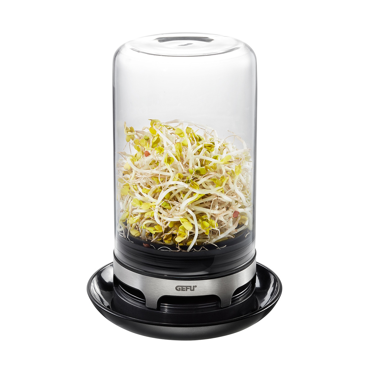 Gefu Bivita Sprouting Jar 12.8x18.4-4