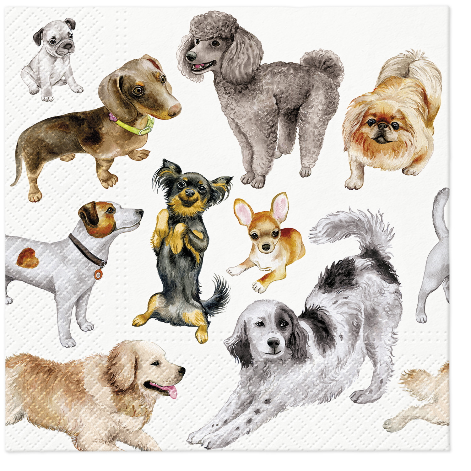 Paw Lunch Napkin 33cm Dogs Happiness-3