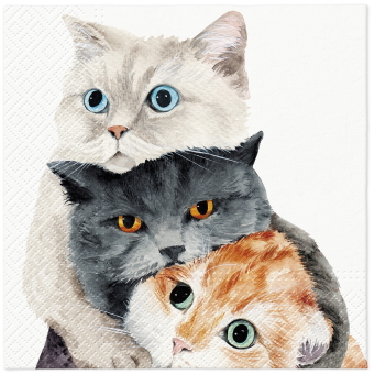 Paw Lunch Napkin 33cm Better Together