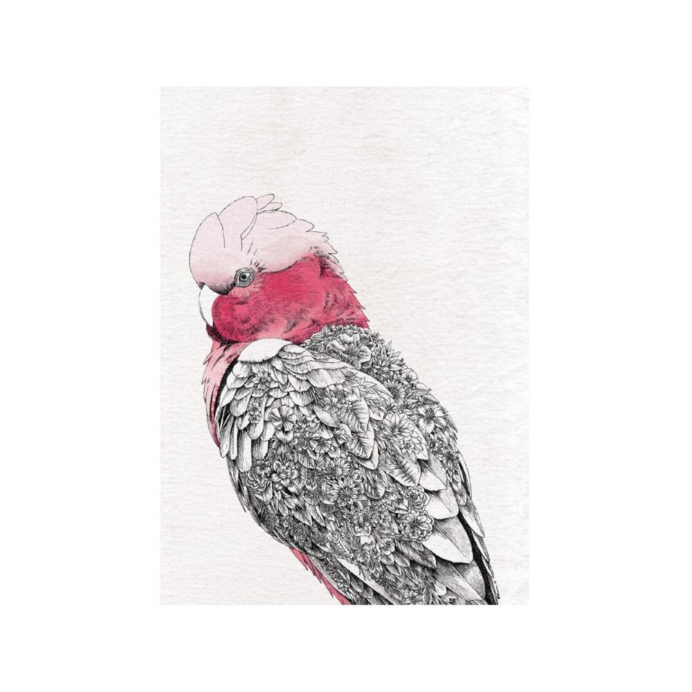 Maxwell & Williams Marini Ferlazzo Birds Tea Towel 50x70cm Galah