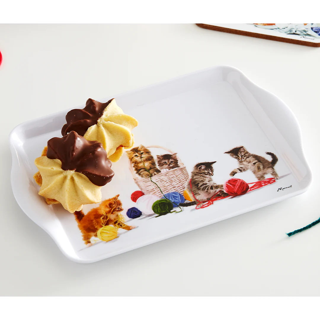 Ashdene Kitten Adventures Set Of 2 Scatter Tray-2