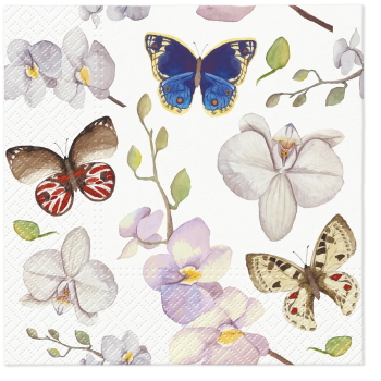 Paw Lunch Napkin 33cm Orchidea Butterfly