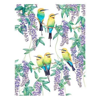 MW Royal Botanic Gardens - Garden Friends Tea Towel 50x70cm Rainbow Bee-Eater