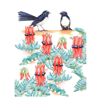 MW Royal Botanic Gardens - Garden Friends Tea Towel 50x70cm Willy Wag Tail