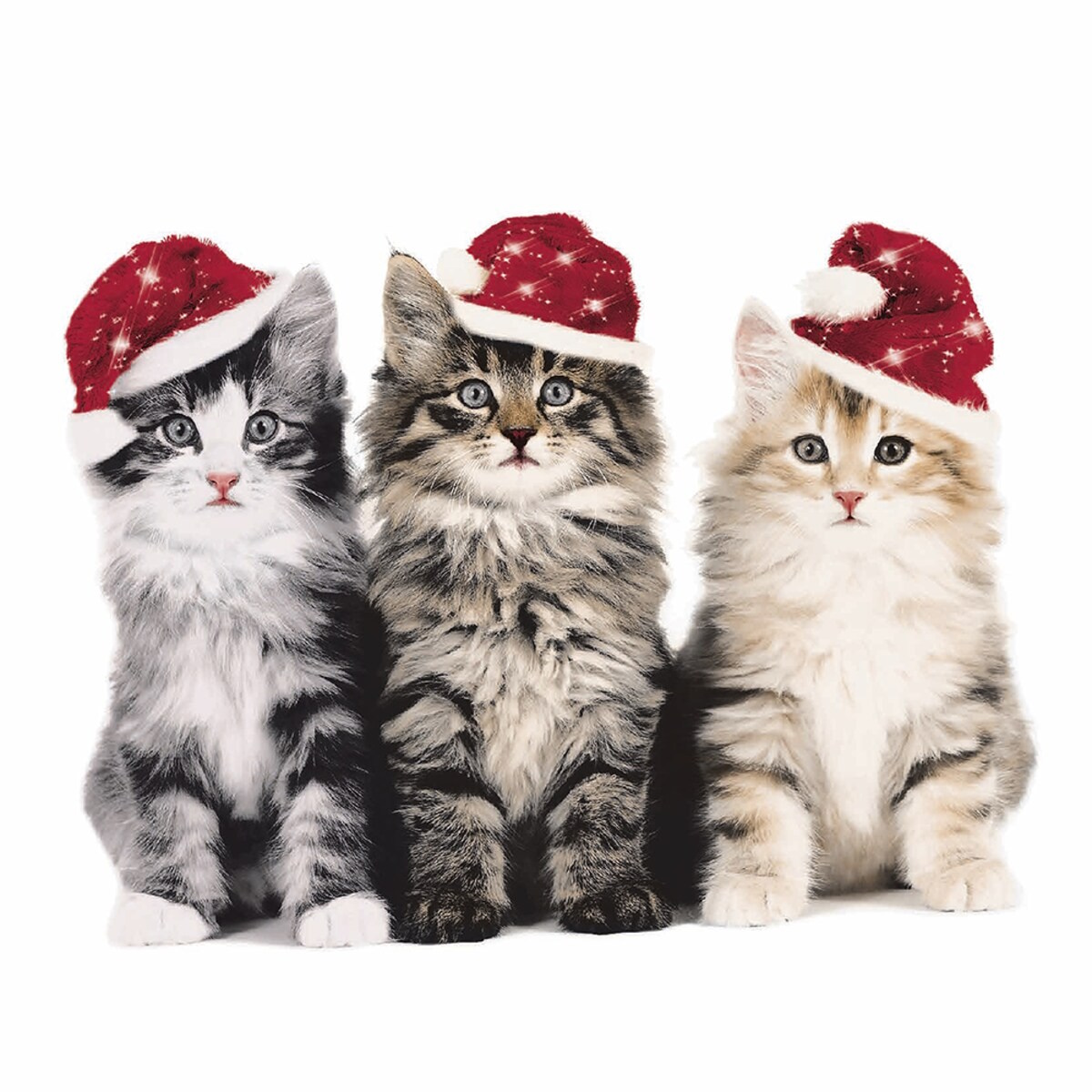 Dline Luncheon Napkins - Xmas Cats-3