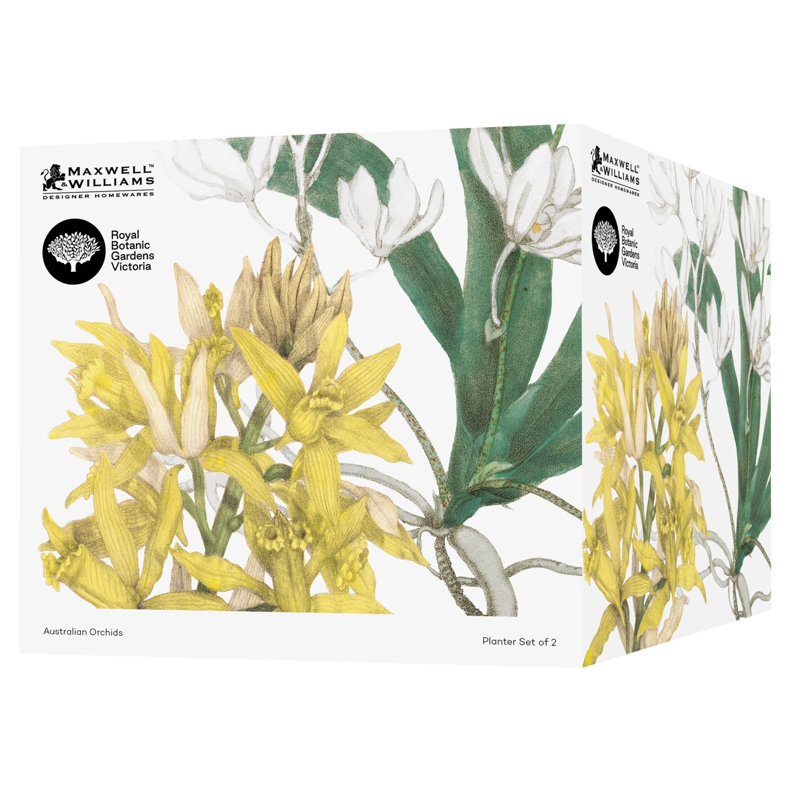 Maxwell & Williams Royal Botanic Gardens Australian Orchids Planter Set of 2 Yell/ White Gift Boxed