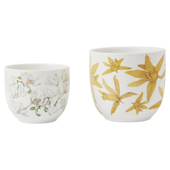 Maxwell & Williams Royal Botanic Gardens Australian Orchids Planter Set of 2 Yell/ White Gift Boxed