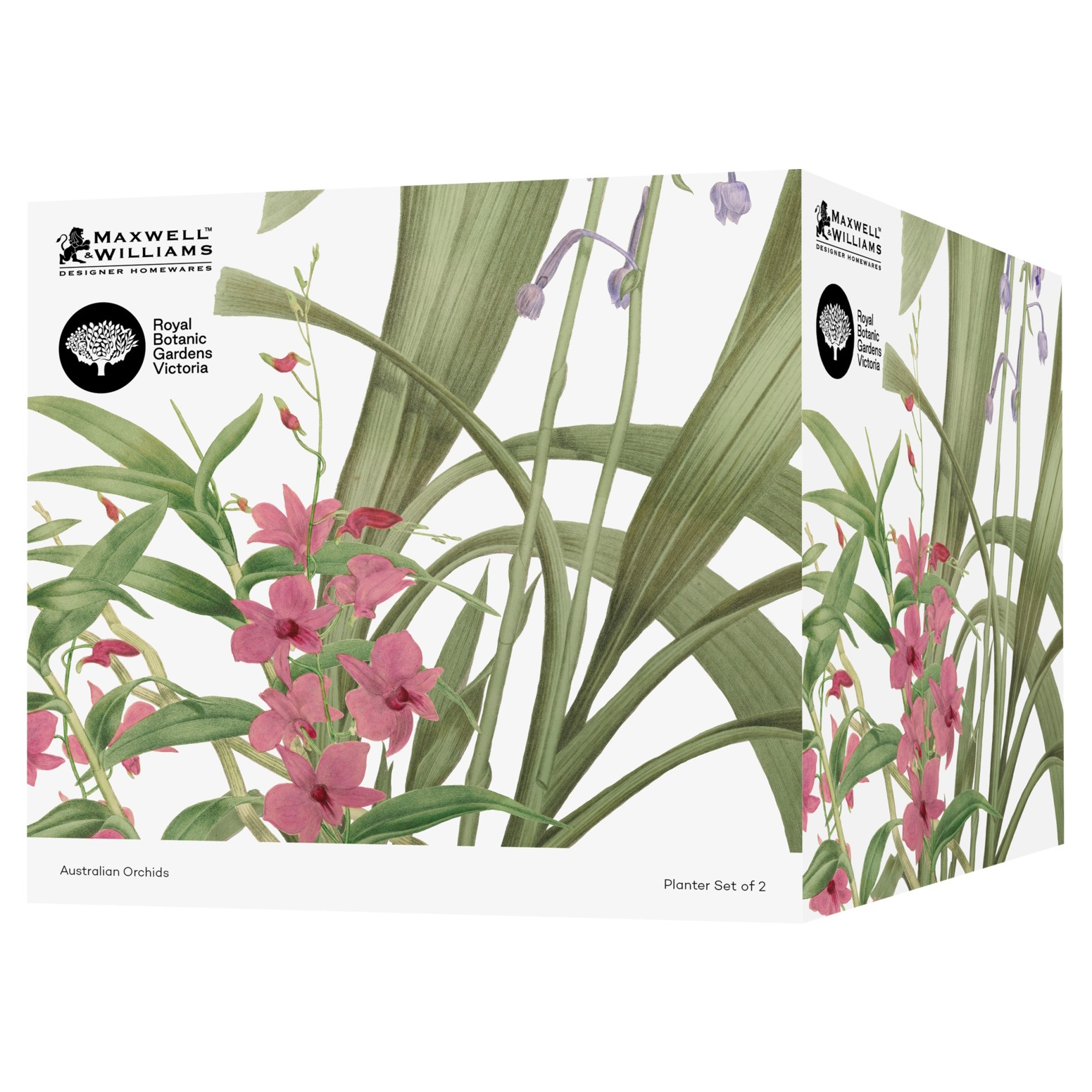 Maxwell & Williams Royal Botanic Gardens Australian Orchids Planter Set of 2 Pnk/Lilac Gift Boxed