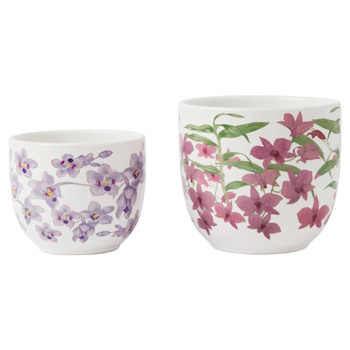 Maxwell & Williams Royal Botanic Gardens Australian Orchids Planter Set of 2 Pnk/Lilac Gift Boxed