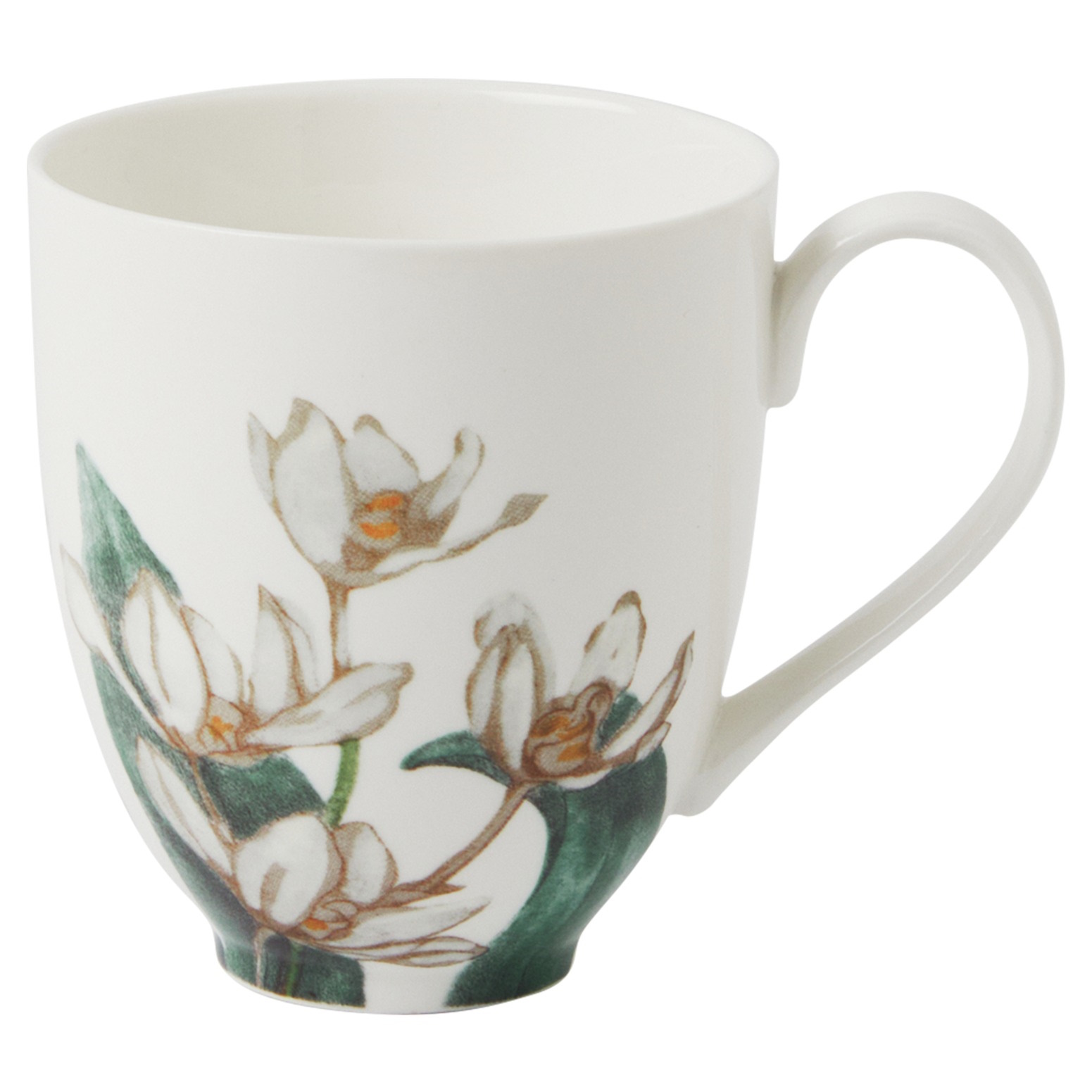 Maxwell & Williams Royal Botanic Gardens Australian Orchids Mug 350ML White Gift Boxed-1