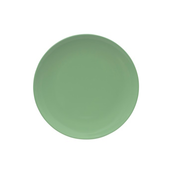 Serroni Melamine Plate Mint 25 cm