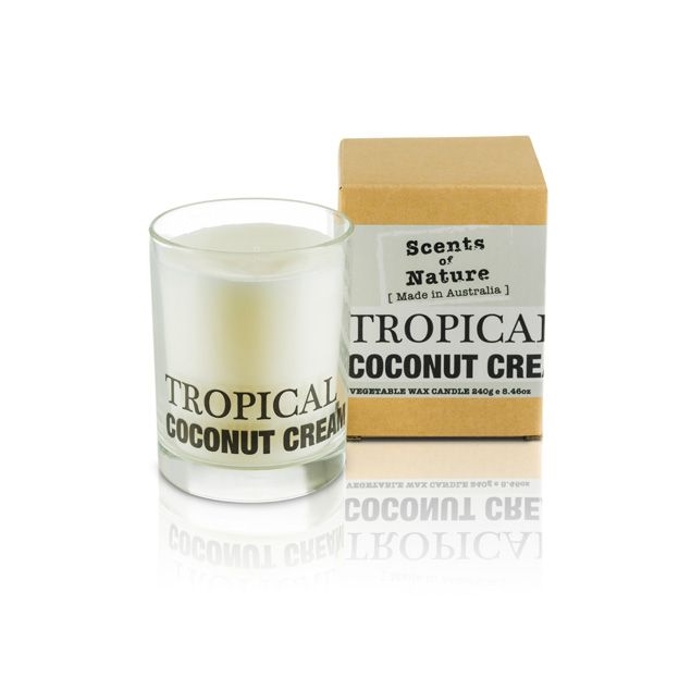 Scents Of Nature By Tilley Soy Candle - Tropical Coconut Cream-1