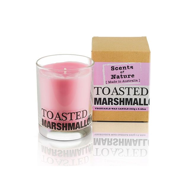 Scents Of Nature By Tilley Soy Candle -  Toasted Marshmallow-1