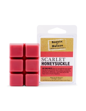 Tilley Scarlet Honeysuckle Square Soy Wax Melts 60g